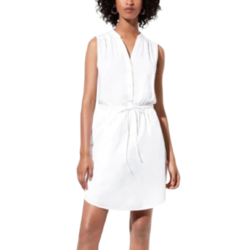 ARITZIA Babaton Benedict Dress
